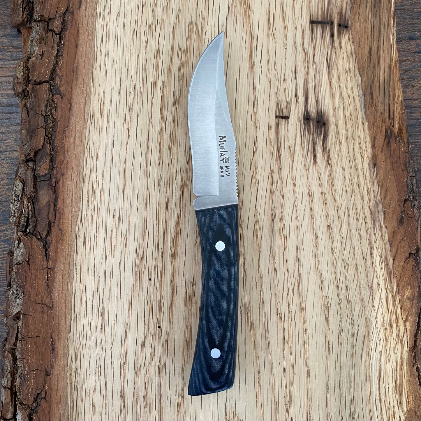 Jagd- und Outdoormesser Muela BWE-8M