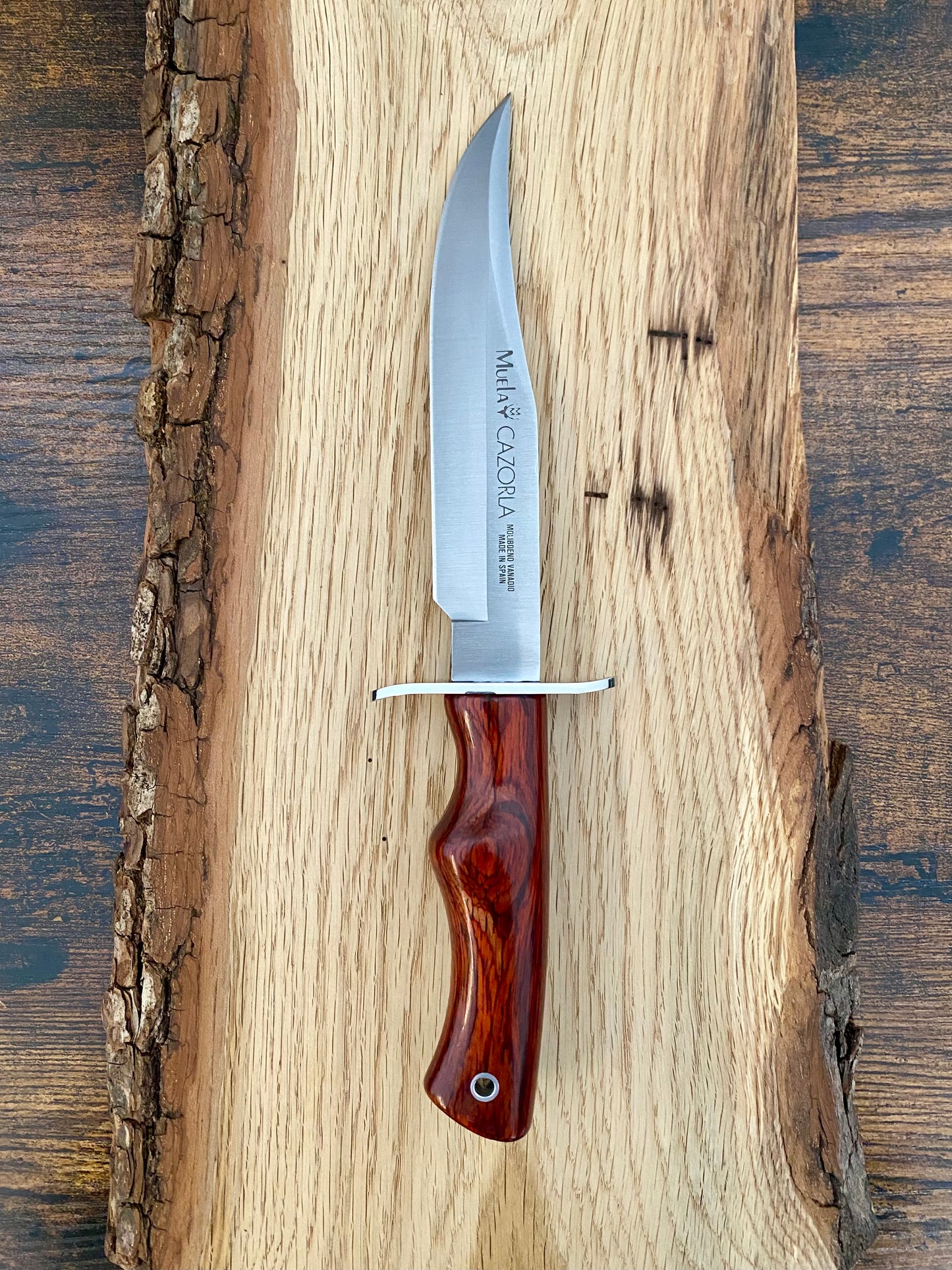 Cazorla
Feststehendes Messer von Muela inklusives Lederscheide