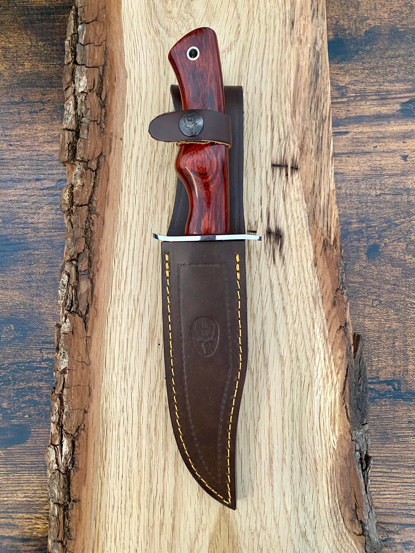 Cazorla 
Feststehendes Messer von Muela inklusives Lederscheide