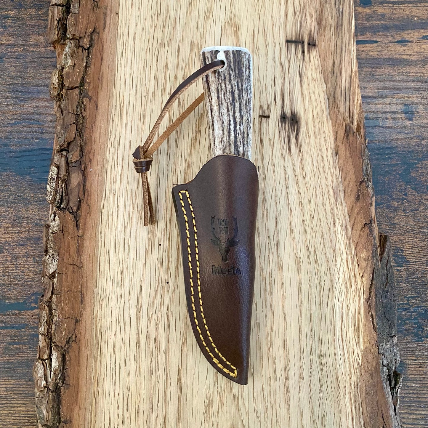 Feststehendes Messer
Muela BW-6A
