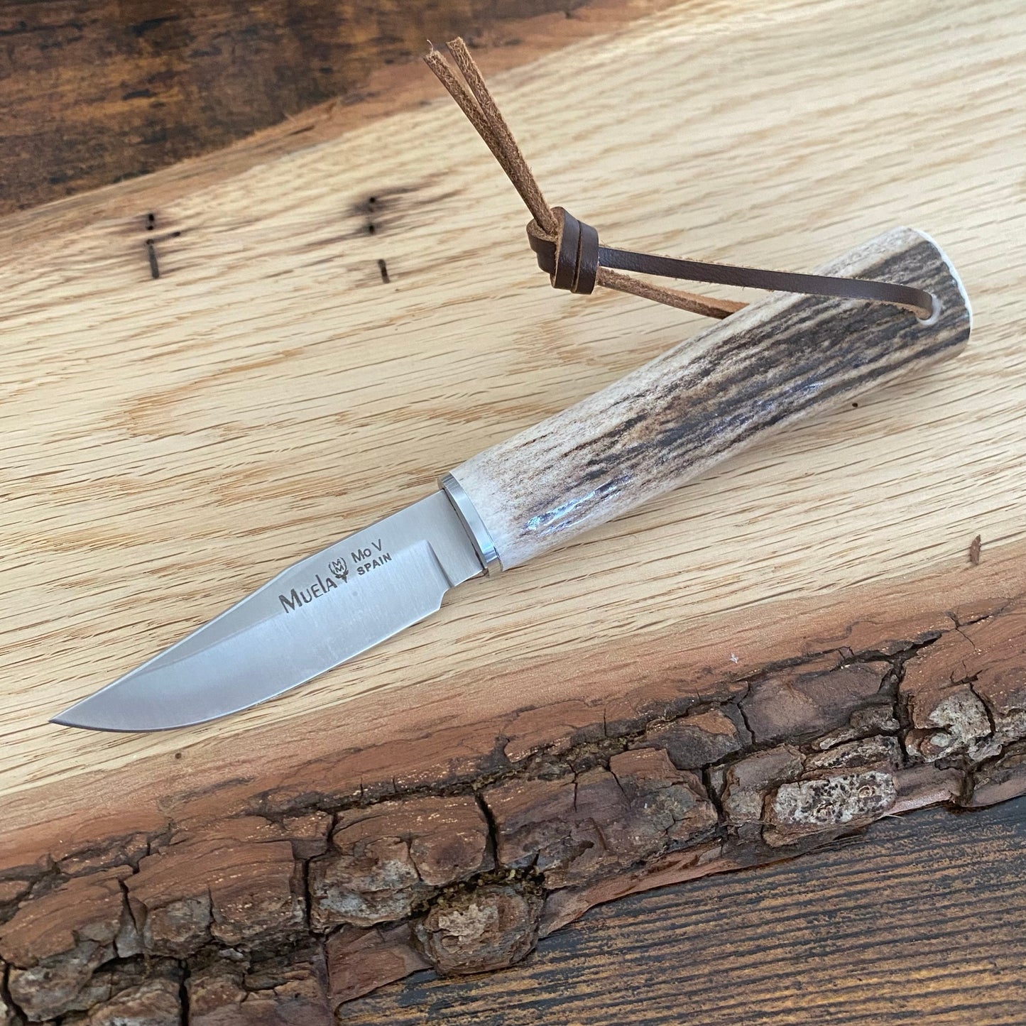 Feststehendes Messer
Muela BW-6A
