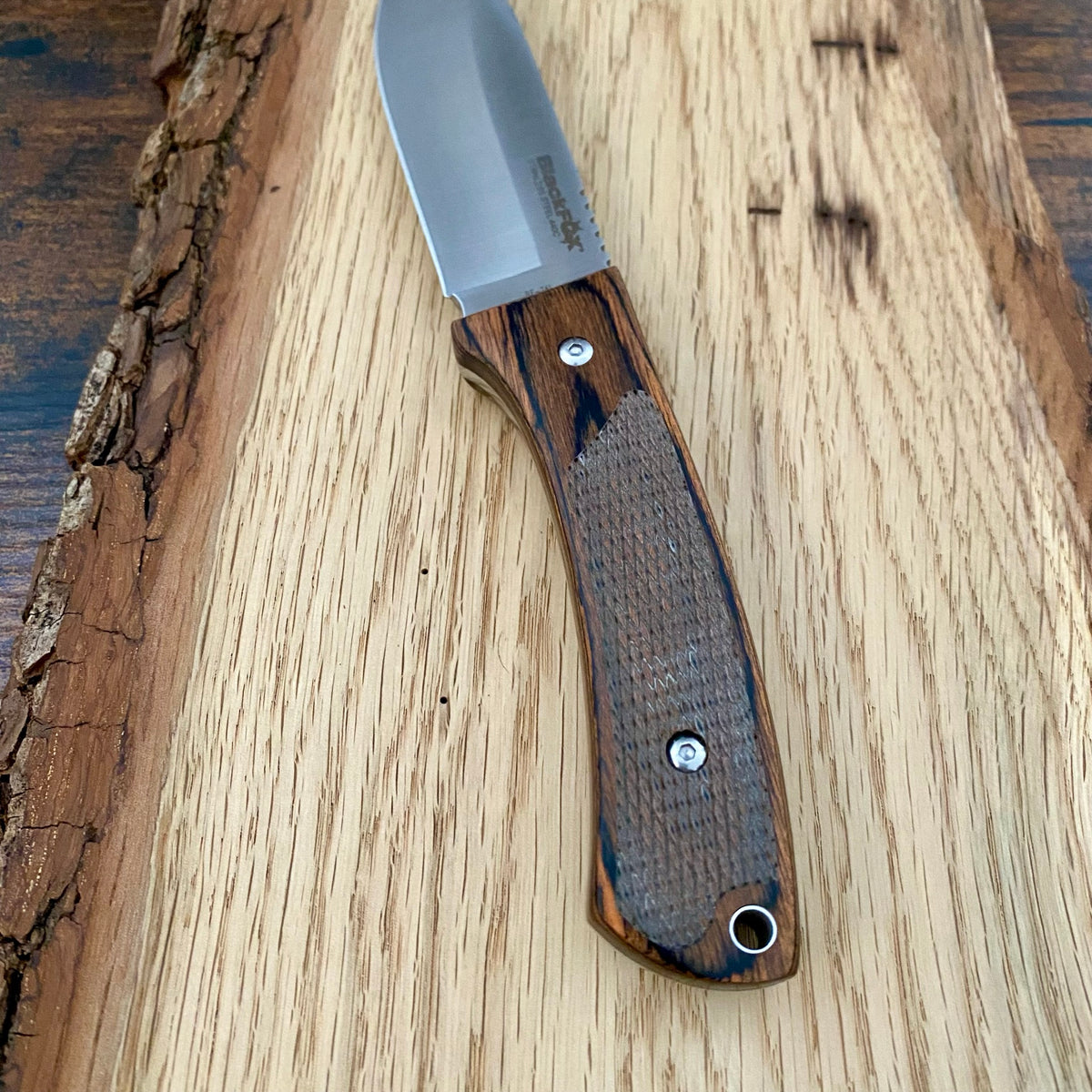 Das feststehende Companion von BlackFox. Messer für Outdoor und Jagd.