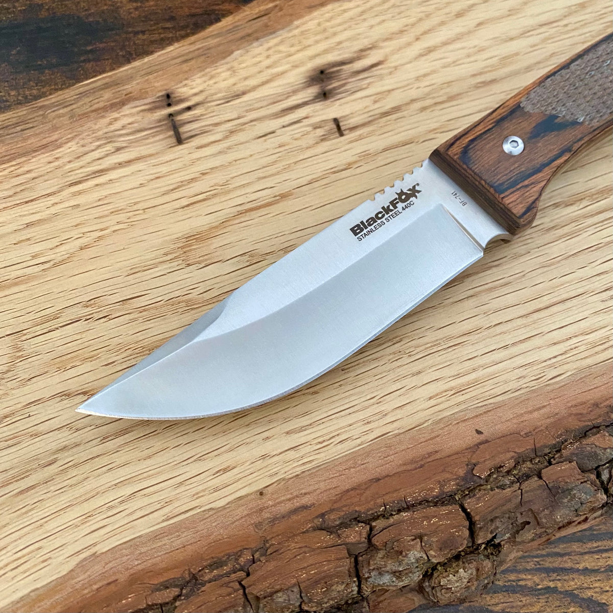 Das feststehende Companion von BlackFox. Messer für Outdoor und Jagd.